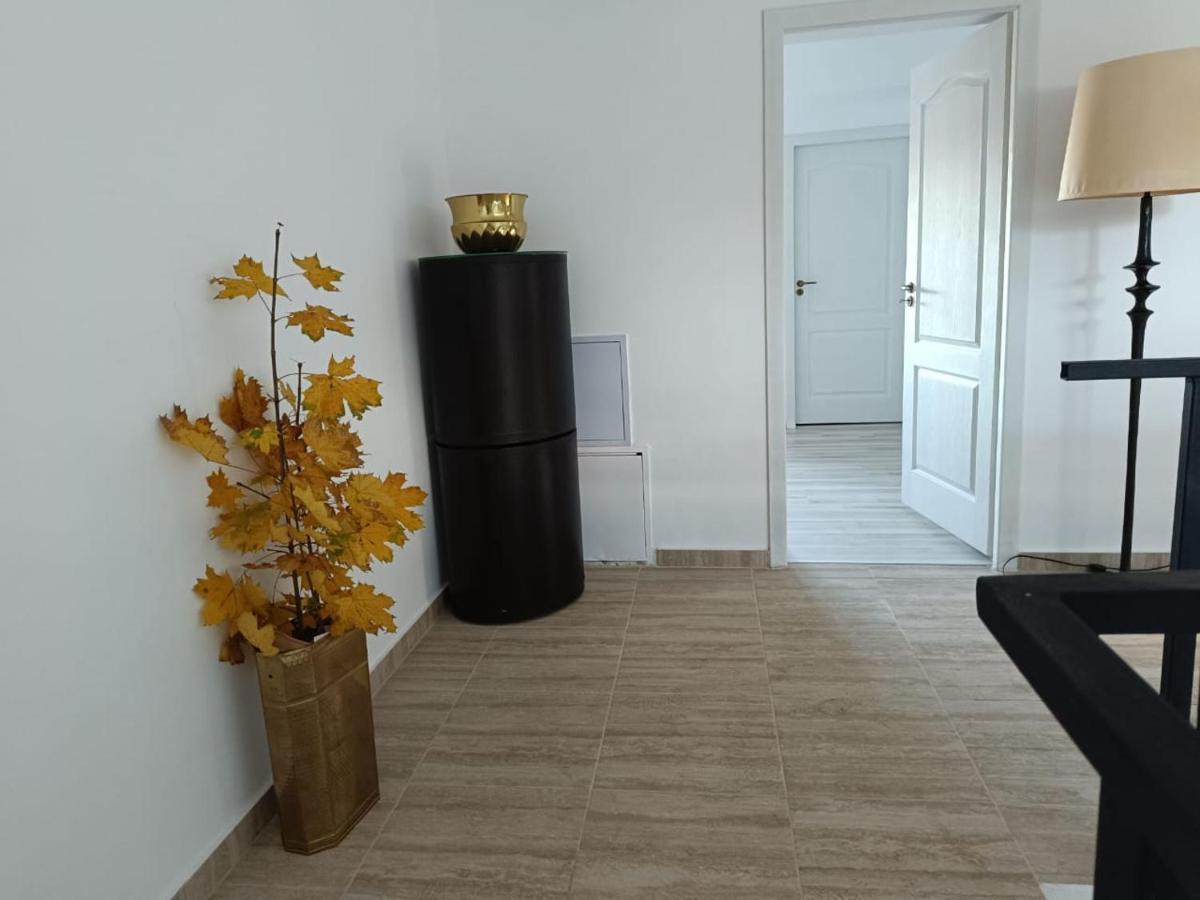 Viv Rosetti Hotel Iasi Eksteriør billede